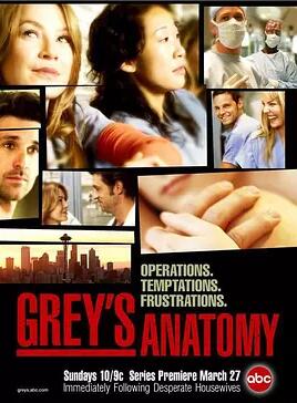 实习医生格蕾第一季免费观看