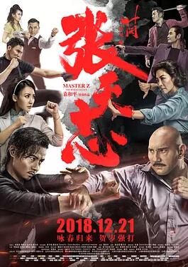 叶问外传：张天志免费观看