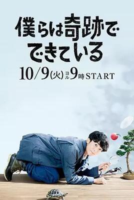 我们由奇迹构成免费观看