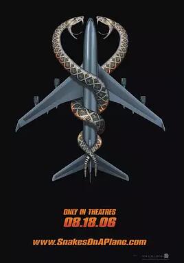 航班蛇患免费观看