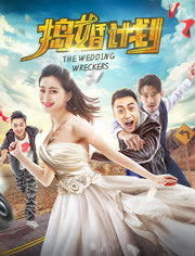 捣婚计划免费观看