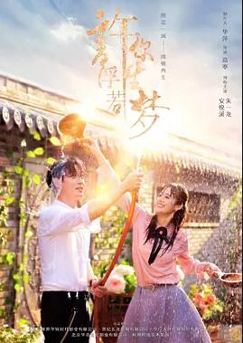 许你浮生若梦免费观看