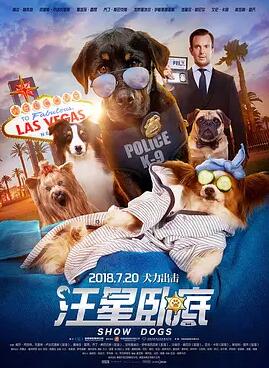 汪星卧底免费观看