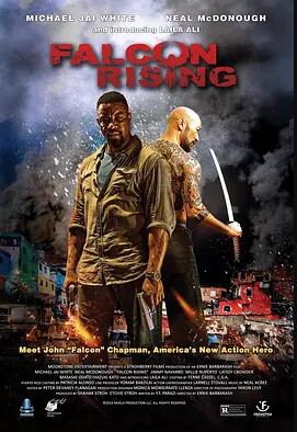 猎鹰突起免费观看