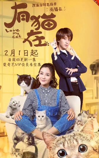 有猫在免费观看