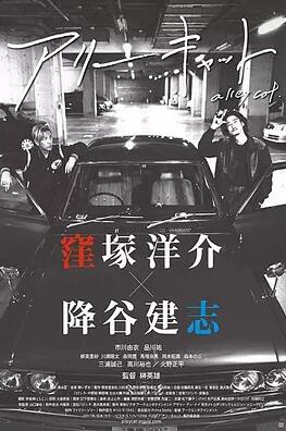 野良猫免费观看