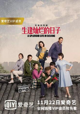 生逢灿烂的日子免费观看