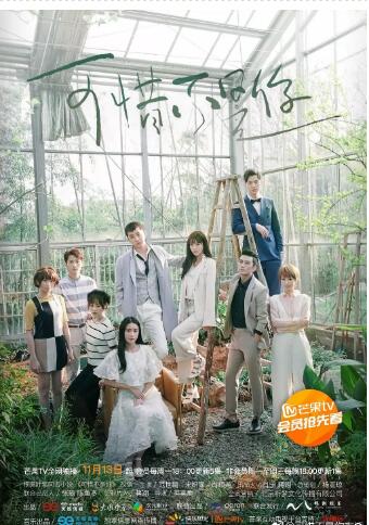 可惜不是你免费观看