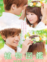 植物图鉴免费观看