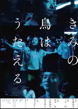 你的鸟儿会唱歌免费观看