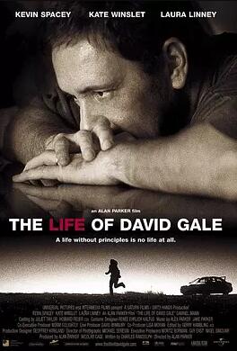 大卫·戈尔的一生免费观看