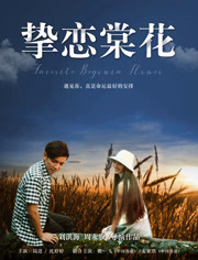 挚恋棠花免费观看