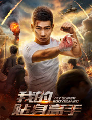 我的贴身高手免费观看