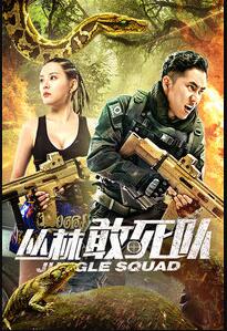 丛林敢死队免费观看