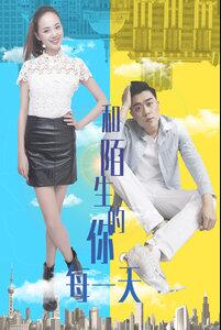 和陌生的你每一天免费观看