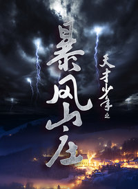 天才少年之暴风山庄免费观看