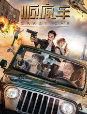 顺疯车免费观看