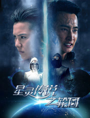 星灵传说之轮回免费观看