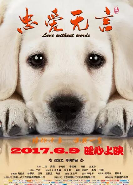 忠爱无言免费观看