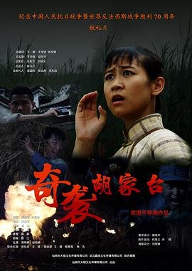 奇袭胡家台免费观看