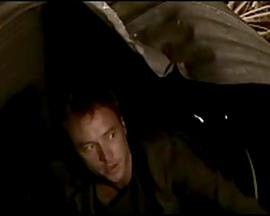 狂熊之灾免费观看