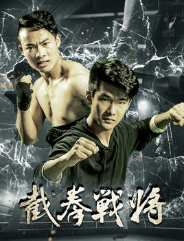 截拳战将免费观看