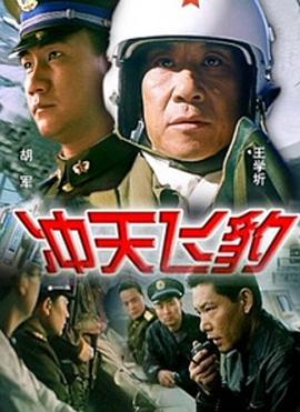 冲天飞豹免费观看