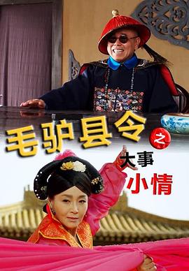 毛驴县令之大事小情免费观看