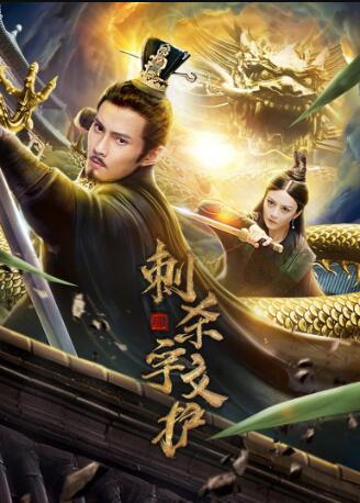 刺杀宇文护免费观看