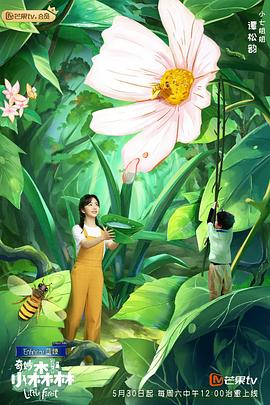 奇妙小森林免费观看