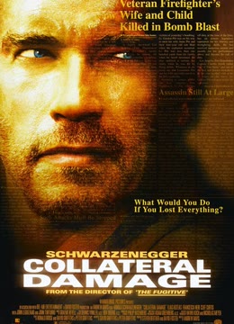 间接伤害免费观看