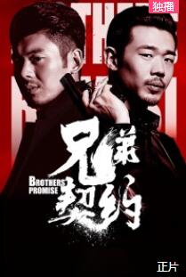 兄弟契约免费观看