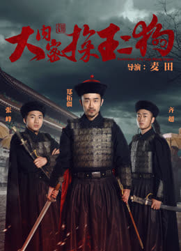 大内密探王二狗免费观看