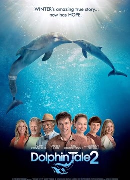 海豚的故事2免费观看