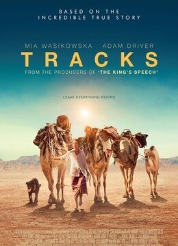 沙漠驼影免费观看