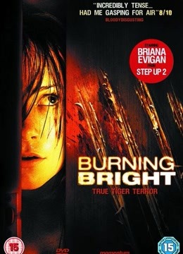 燃烧的夜晚免费观看