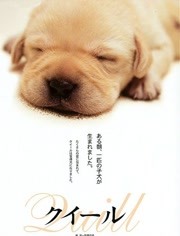 导盲犬小Q免费观看