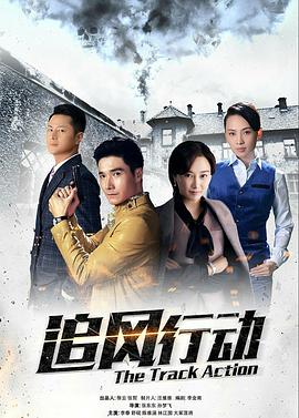追风行动免费观看