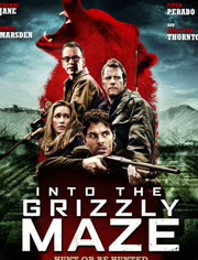 嗜血灰熊免费观看