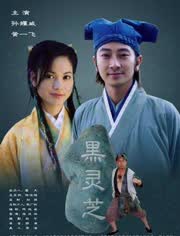 黑灵芝免费观看