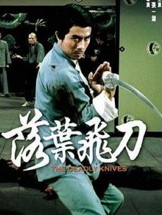 落叶飞刀免费观看