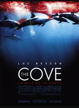 海豚湾免费观看