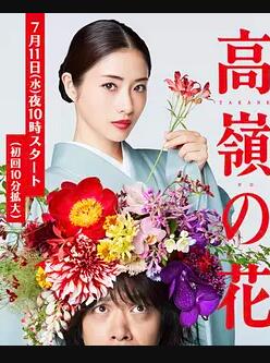 高岭之花免费观看