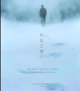 再见王沥川免费观看