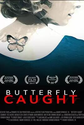 折翅蝴蝶免费观看