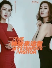 神秘来访者免费观看