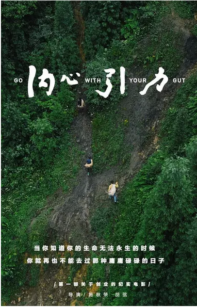 内心引力免费观看