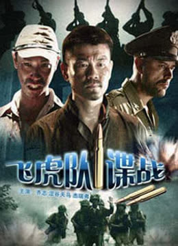 飞虎队谍战免费观看