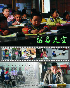 留鸟天空免费观看