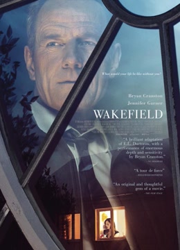 脆弱地带免费观看